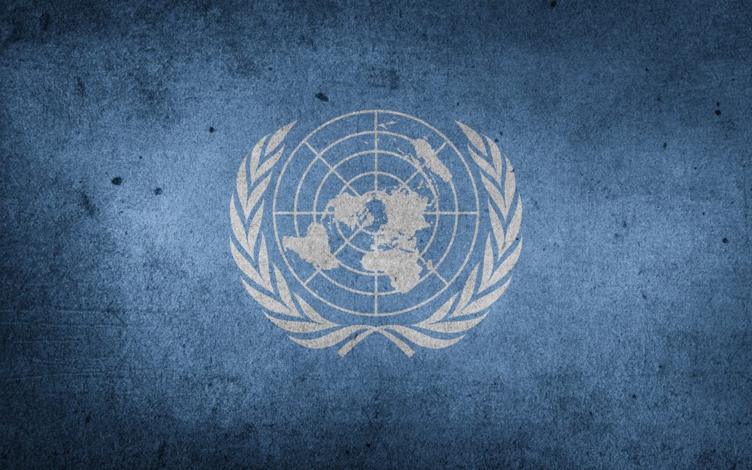 united nations flag - without borders - writemovies winter 2019 screenwriting contest 3rd place