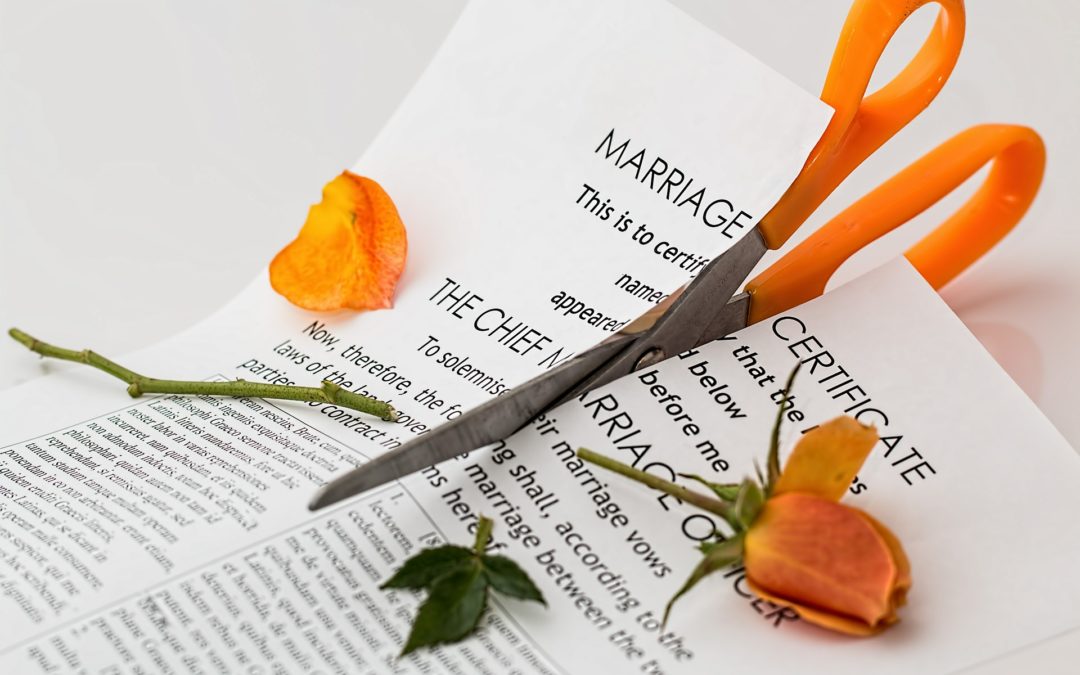 Divorce papers - Promise of Tomorrow